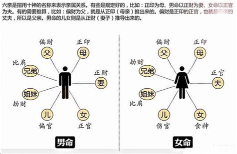 十神|八字十神都代表什么？十神的用法详解